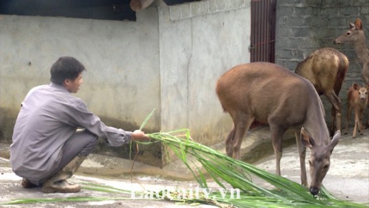 Đổi thay từ vùng đất khó