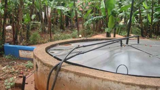 Bất lực chứng kiến 2 người chết do ngộ độc khí trong hầm biogas