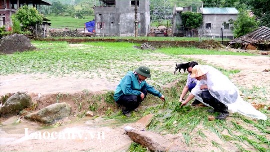 Chủ đầu tư Nhà máy thủy điện Sử Pán 1 hỗ trợ 700 triệu đồng để người dân Bản Hồ khắc phục hậu quả lũ quét