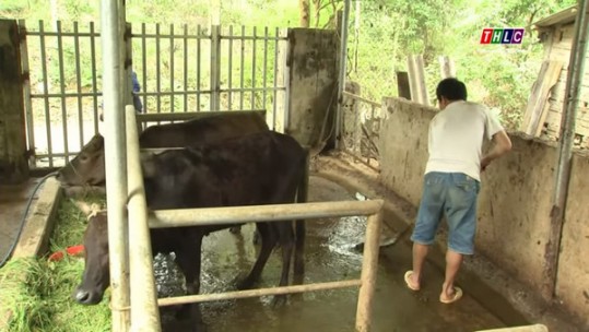 Khó khăn trong thực hiện tiêu chí môi trường liên quan đến chăn nuôi