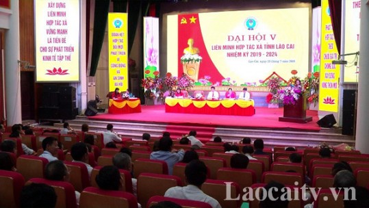 Đại hội Liên minh Hợp tác xã tỉnh Lào Cai lần thứ V, nhiệm kỳ 2019 - 2024