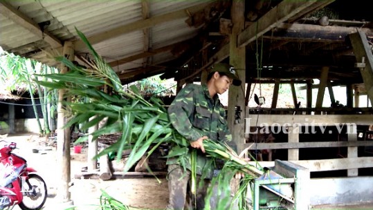 Thanh niên làm kinh tế giỏi ở huyện Văn Bàn