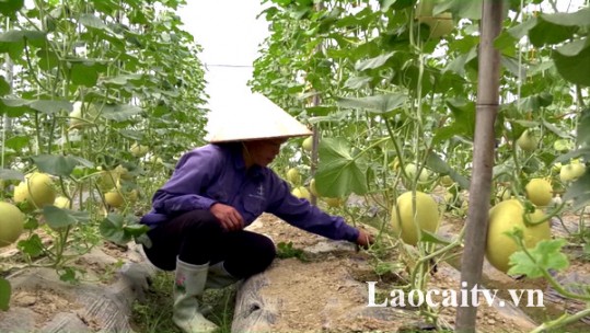 “Chìa khóa” để Quang Kim nâng cao tiêu chí xây dựng NTM