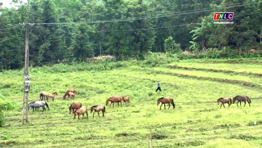 Thành công của dự án giảm ghèo