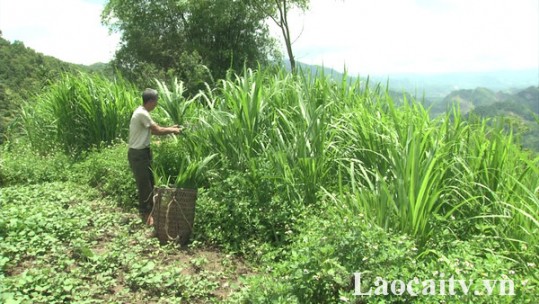 Vượt lên nỗi đau da cam