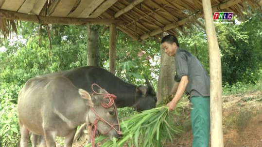 Điểm tựa giảm nghèo của người dân vùng cao