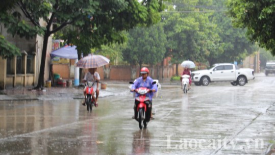 Thời tiết Lào Cai ngày 20/8: Mưa vừa, mưa to bao phủ các địa phương trong tỉnh