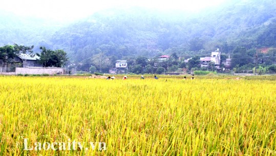 Viết tiếp trang sử hào hùng ở vùng đất bên sông Chảy