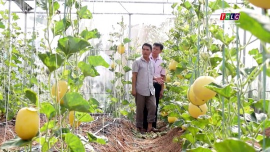 Lào Cai chú trọng cho vay hộ nghèo vùng khó khăn