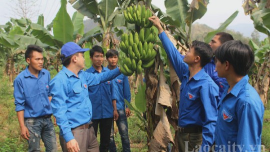 Mô hình điểm hỗ trợ thanh niên dân tộc thiểu số phát triển kinh tế