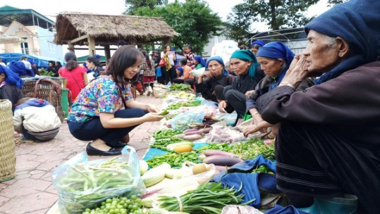 Bát Xát triển khai nhiều giải pháp thúc đẩy thương mại - dịch vụ