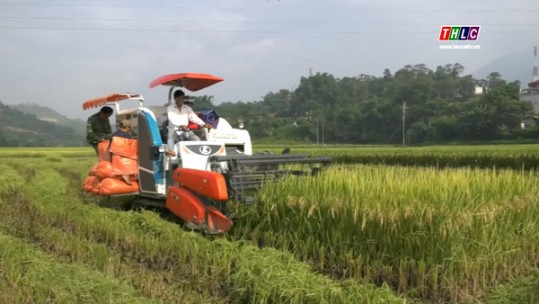 Văn Bàn một nhiệm kỳ tăng tốc