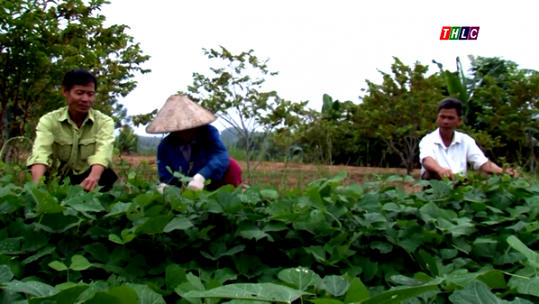 Phát huy hiệu quả nguồn Quỹ 