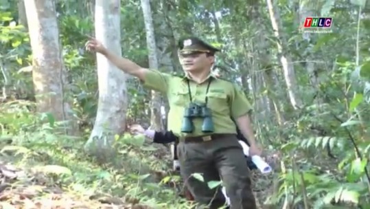Lâm nghiệp Lào Cai - 60 năm gắn bó với rừng