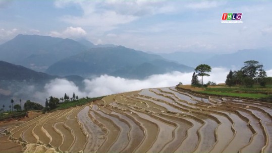 Ruộng bậc thang Bát Xát mùa nước đổ