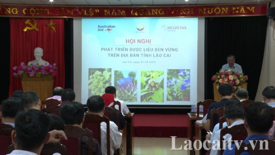 Bàn các giải pháp phát triển dược liệu bền vững ở Lào Cai
