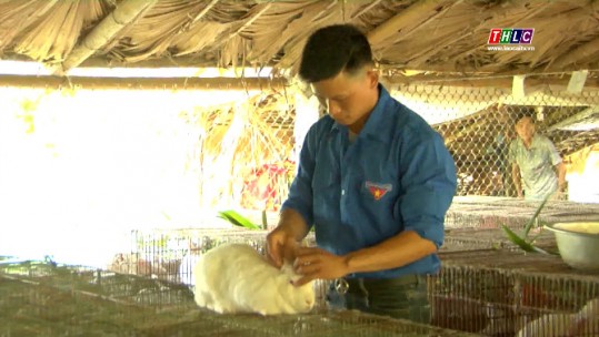 Đi lên từ bản: Mô hình nuôi thỏ của anh Triệu Văn Khách ở Văn Bàn (10/9/2020)
