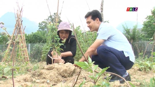 Nông nghiệp và phát triển nông thôn: Kỹ thuật trồng cây ăn quả ôn đới ở Si Ma Cai