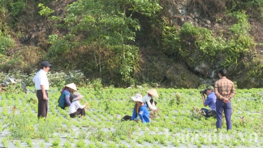 Trại sáng tác văn học nghệ thuật - Nơi hình thành những tác phẩm chất lượng