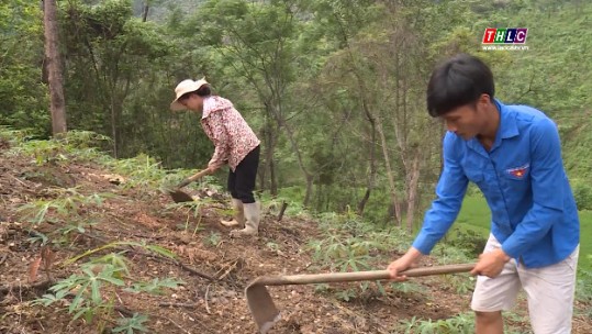 Khởi nghiệp: Mô hình vườn cây sinh kế, động lực giúp thanh niên vùng khó khăn (12/5/2021)