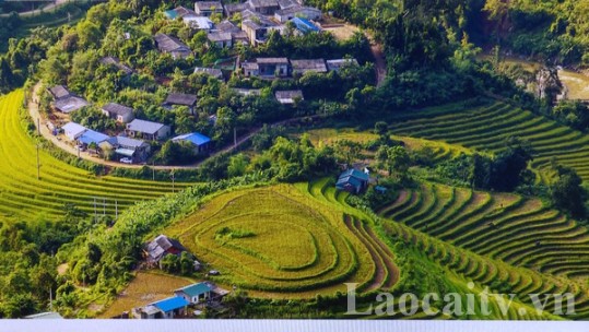 Nông thôn mới trong văn học nghệ thuật