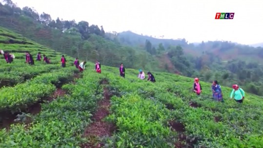 Phim tài liệu: An sinh xã hội – Nền tảng vững bền cho Lào Cai phát triển
