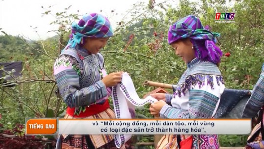 Phim tài liệu tiếng Dao: Văn hóa thể thao Lào Cai - 30 năm vươn tầm cao mới (25/8/2021)