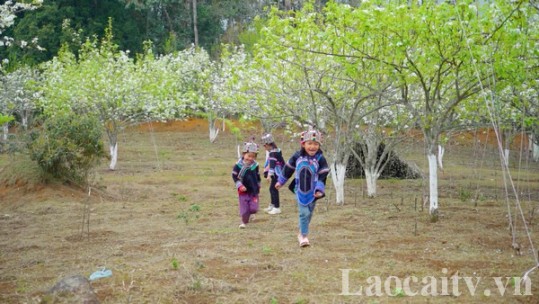 Hình ảnh đẹp về các bé gái ở Lào Cai