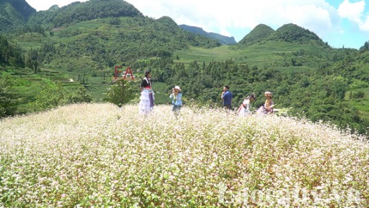 Tìm cơ hội khởi nghiệp trong mùa dịch