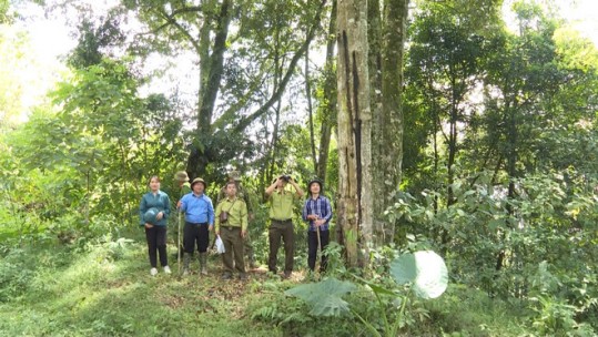Vì tương lai xanh: Việt Nam chi trả tiền dịch vụ môi trường rừng (26/10/2021)