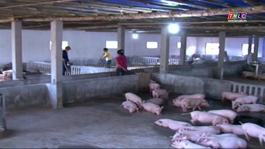 Chuyên đề Nông nghiệp: Chủ động phòng chống dịch bệnh trên đàn vật nuôi (5/4/2022)