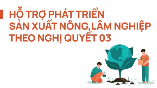 Hỗ trợ phát triển sản xuất nông, lâm nghiệp theo Nghị quyết 03/2022 của HĐND tỉnh Lào Cai khóa XVI