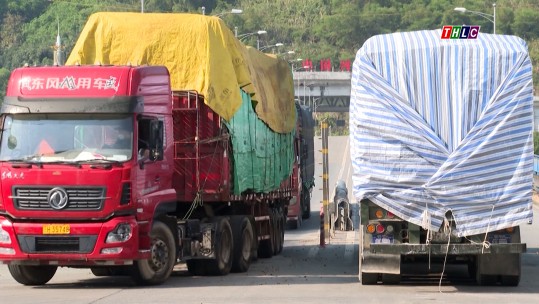 Trung Quốc tạm dừng xuất khẩu tinh bột sắn