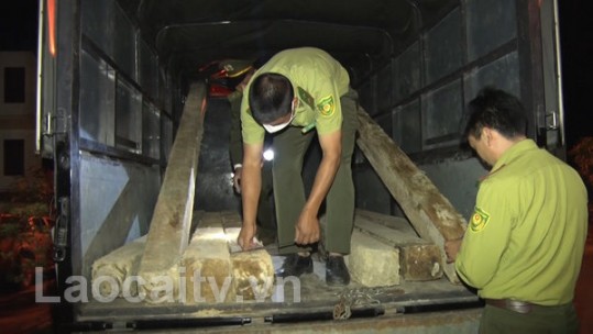 Bắt ô tô vận chuyển gỗ trái phép tại thị xã Sa Pa