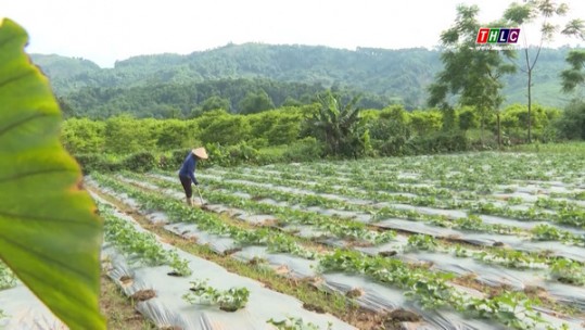 Nông nghiệp - Nông thôn: Chuyên đề xây dựng nông thôn mới (22/6/2022)