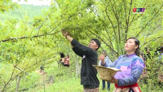 Khơi thông tiềm năng du lịch Si Ma Cai bằng nội lực