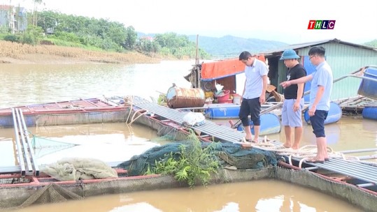 Phú Thọ: Nuôi cá lồng đặc sản cho thu nhập cao