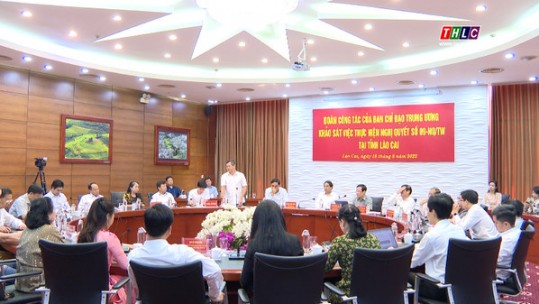Đoàn công tác Ban chỉ đạo Trung ương làm việc với doanh nghiệp Lào Cai