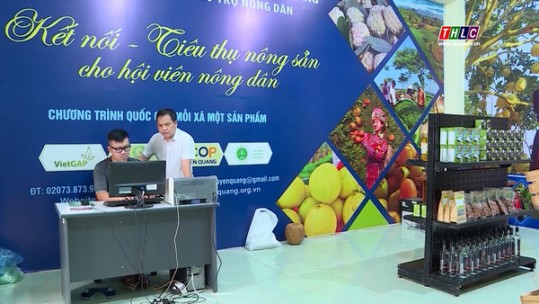 Tuyên Quang hỗ trợ nông dân thích ứng với chuyển đổi số