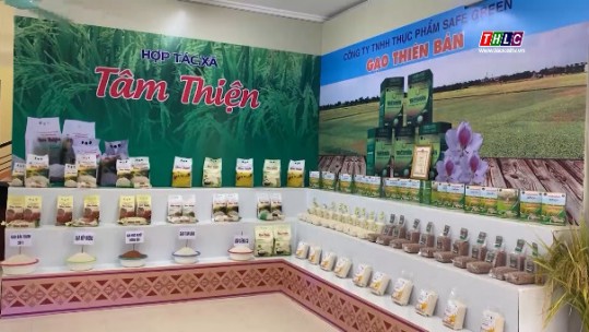 Nâng cao chất lượng gạo Điện Biên trên thị trường trong và ngoài tỉnh