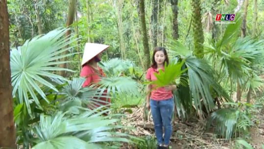 Đặc sản rừng cọ Phú Thọ
