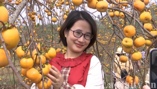 Trải nghiệm vườn hồng trên cao nguyên Mộc Châu, Sơn La