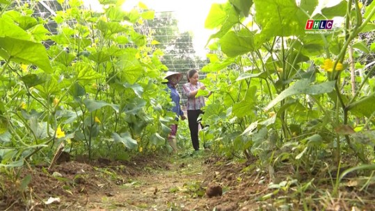 Nông nghiệp - Nông thôn: Chuyên đề Nông nghiệp (29/11/2022)