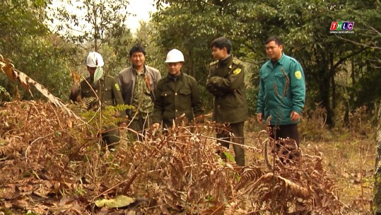 Tăng cường bảo vệ rừng, phòng cháy, chữa cháy rừng mùa khô 2022 - 2023