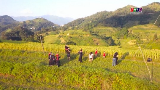 Hà Giang: Trải nghiệm du lịch làng nghề tạo sức sống mới