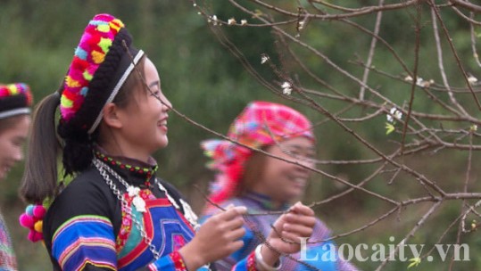 Lào Cai khai thác thế mạnh phát triển du lịch nông nghiệp