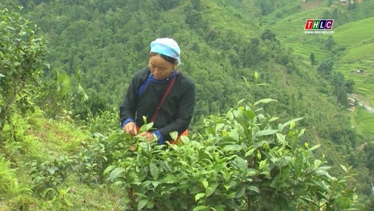 Nông nghiệp - Nông thôn: Đảm bảo nguồn cung thực phẩm dồi dào, an toàn phục vụ thị trường Tết (10/1/2023)