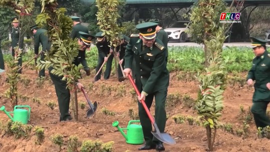 Bộ đội biên phòng Lào Cai phát động Tết trồng cây