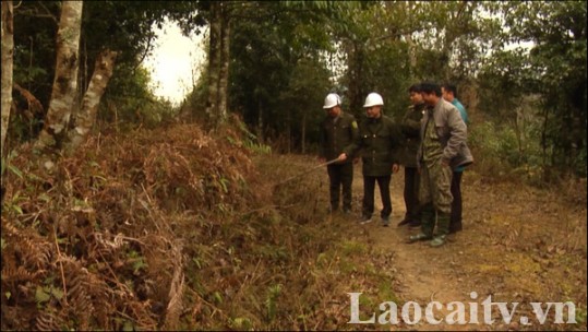 Nhiều cánh rừng của Lào Cai đang ở cấp 4, cấp 5