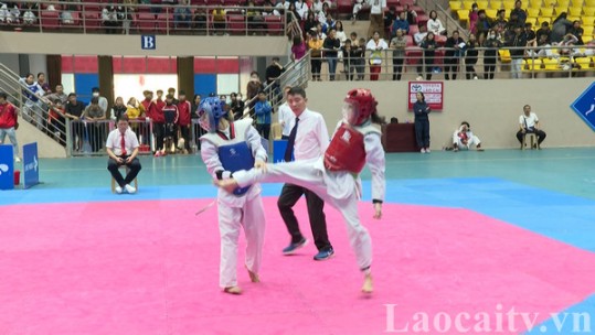 Ấn tượng Giải Taekwondo các lứa tuổi trẻ tỉnh Lào Cai năm 2023